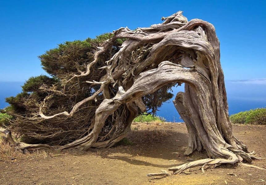 El Hierro